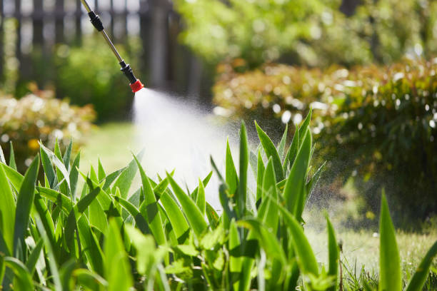 24/7 Emergency Wasp Removal experts in San Carlos, TX